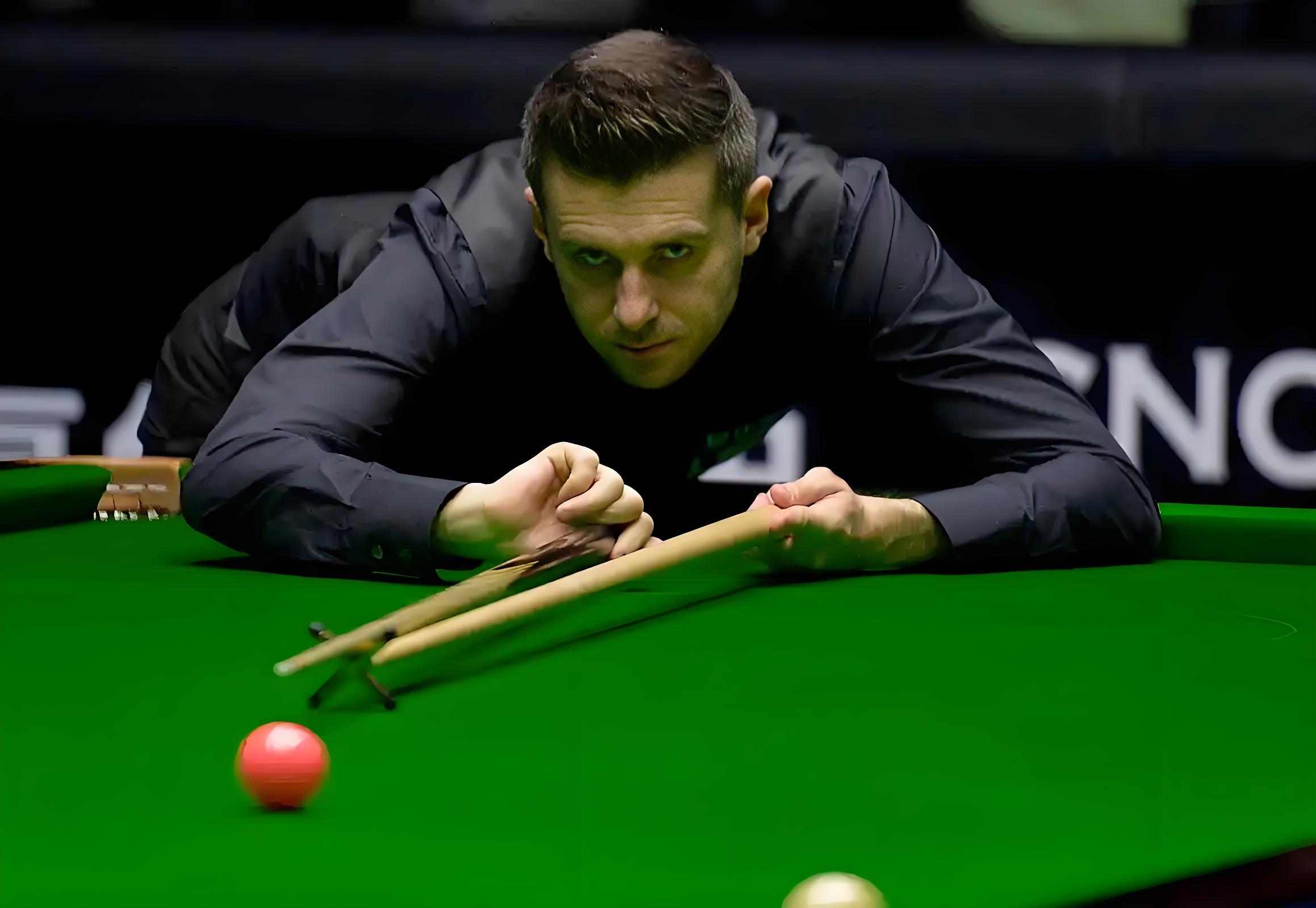 也再次印证 也再次印证